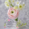 dohajob139